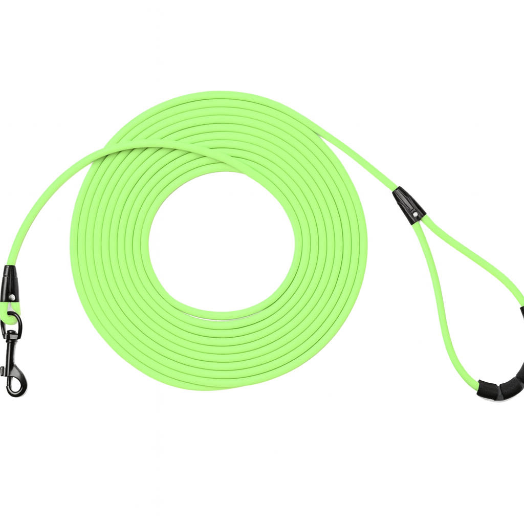 Sichere Leine für Hunde