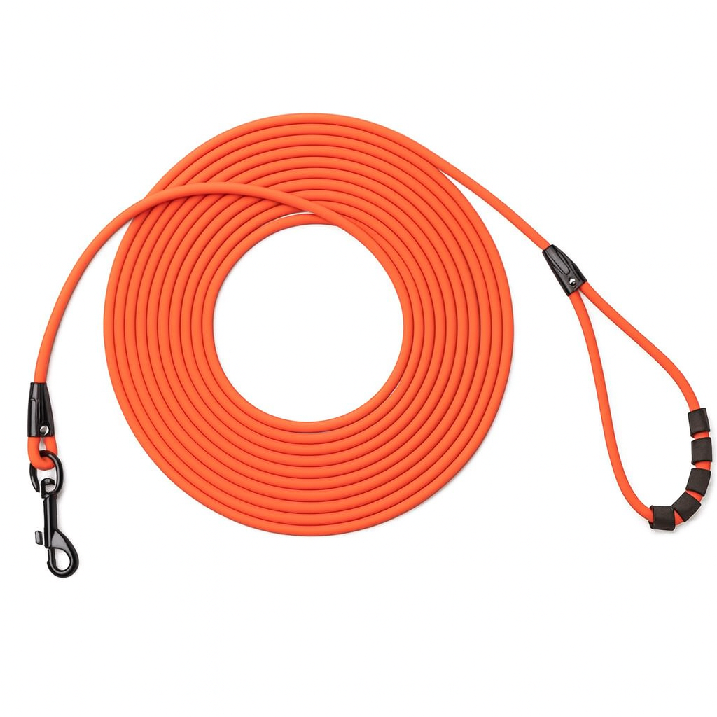 Sichere Leine für Hunde