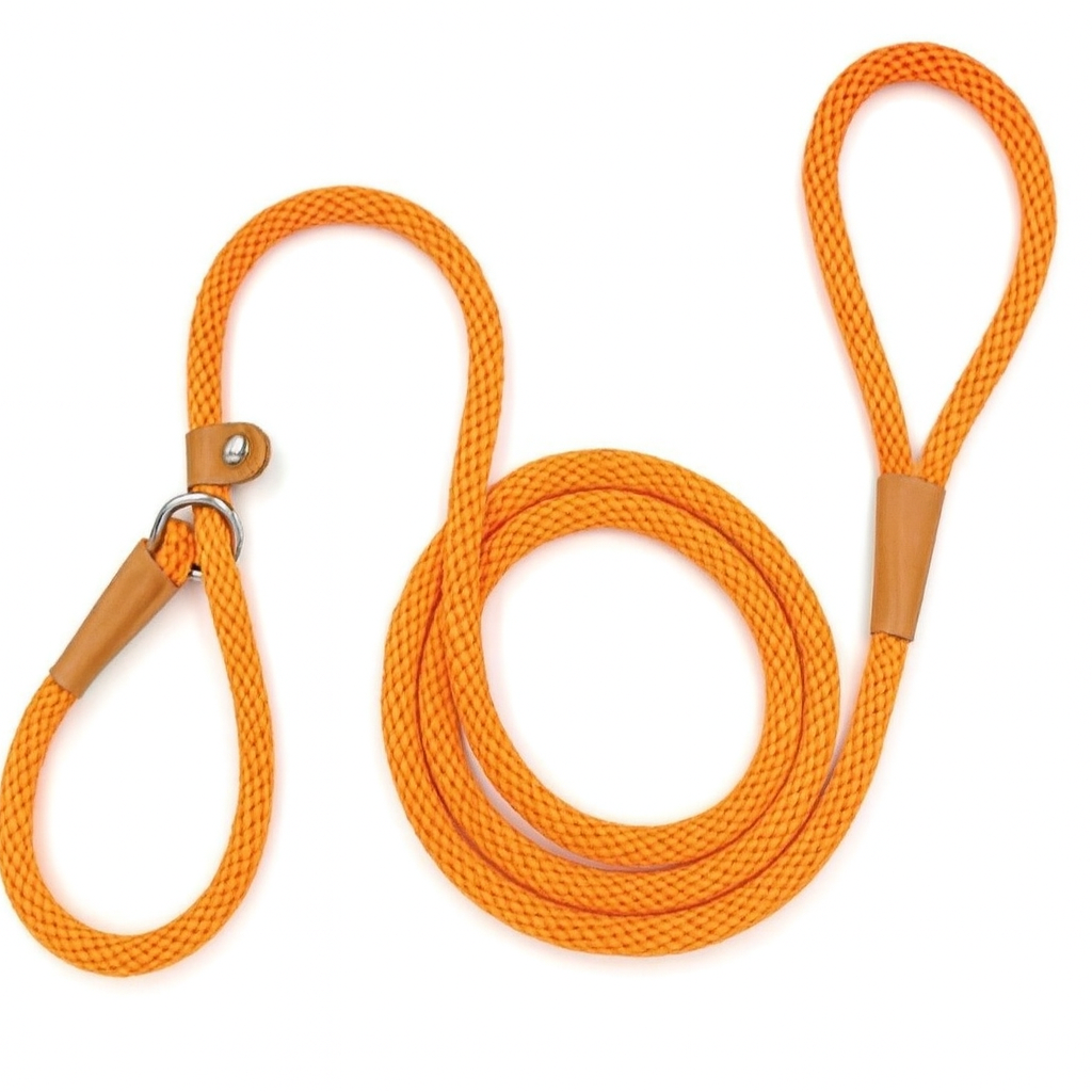 Hondenriem van nylon voor training