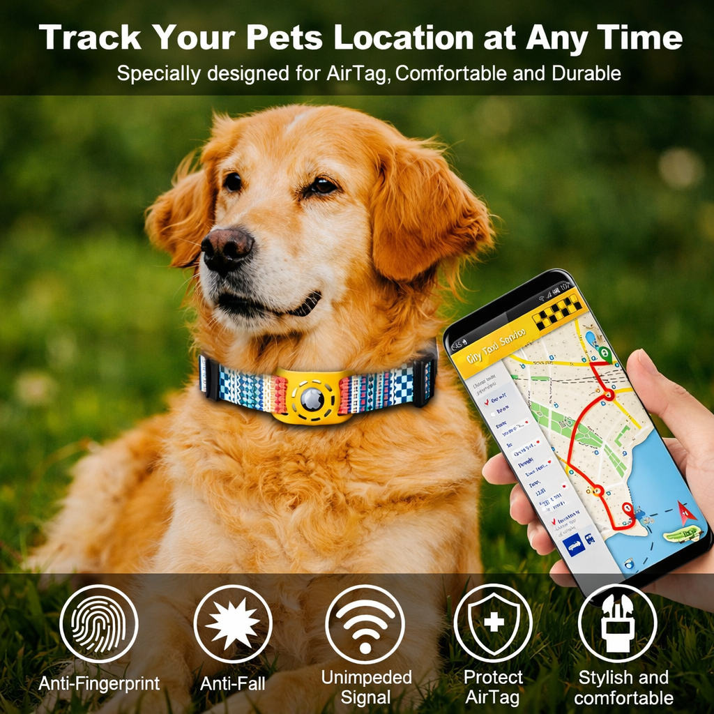 Dog wearing an AirTag dog collar while location is tracked on a smartphone map outdoors
