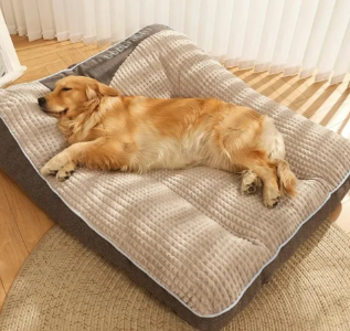 https://static.hzpdex.com/c5ae0dfa-9f25-4e5e-93e9-680190233722.png