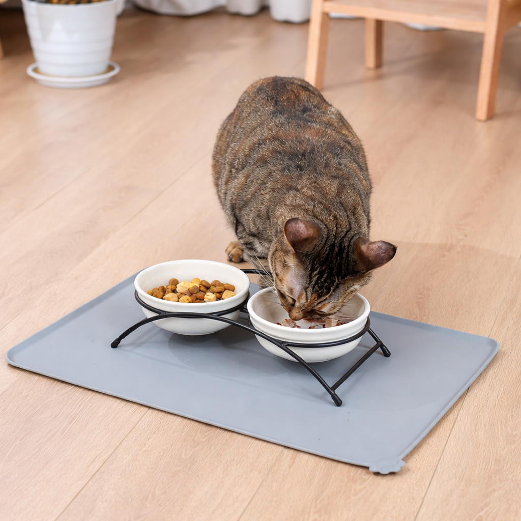 Cat eating from elevated bowls placed on silicone feeding mat