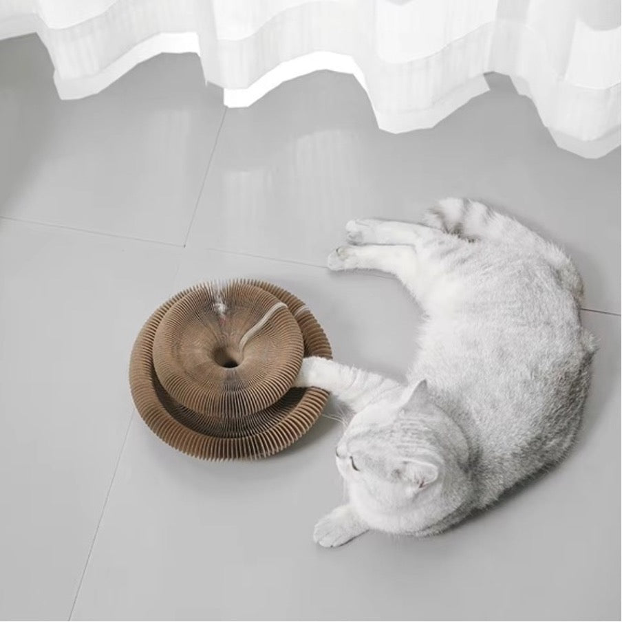 Cat relaxing next to an expandable cat scratching pad toy on an indoor floor