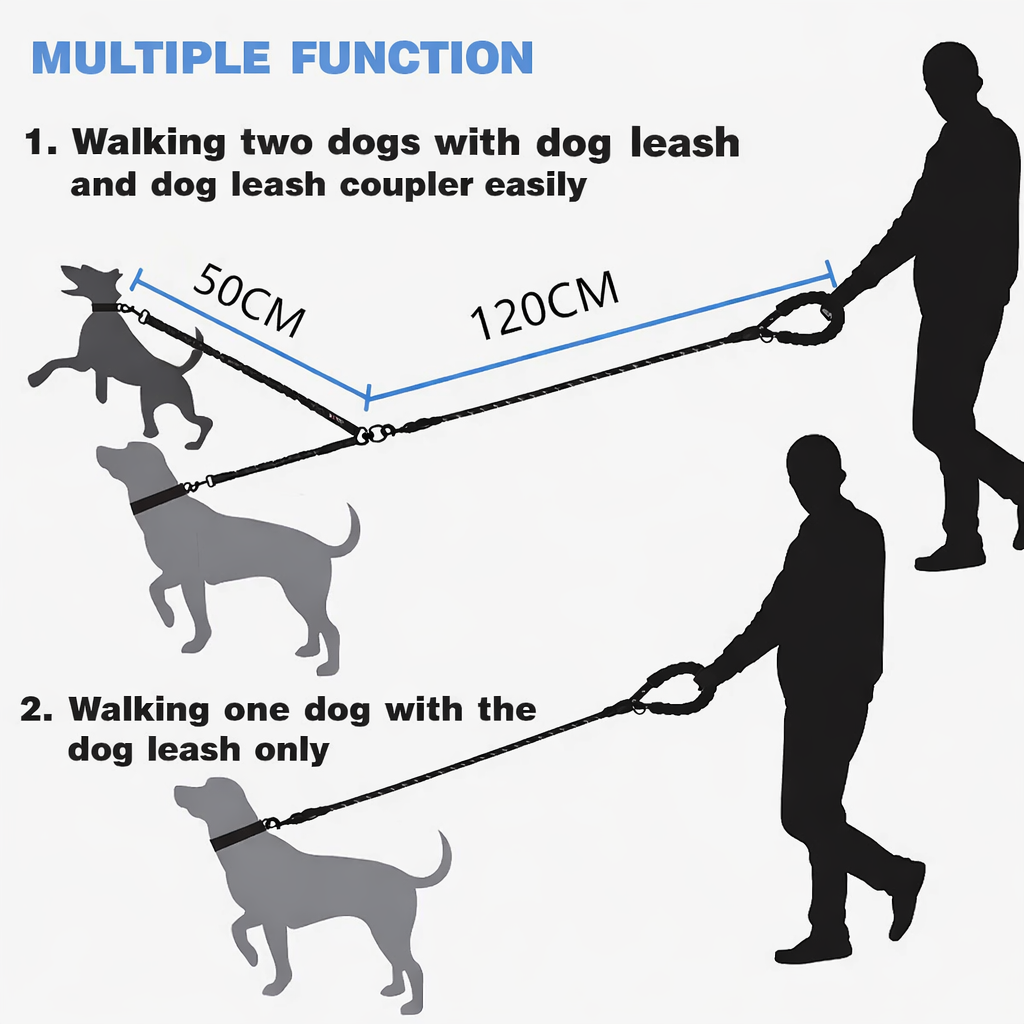Diagram showing how to use a double dog leash for walking two dogs or one dog