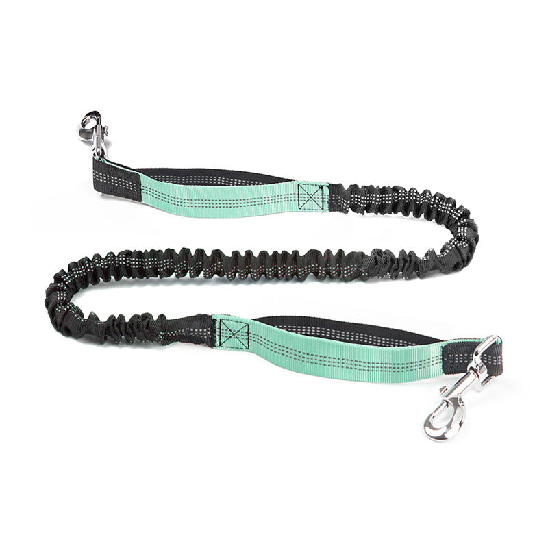 Hands free dog leash worn around waist while walking a dog outdoors