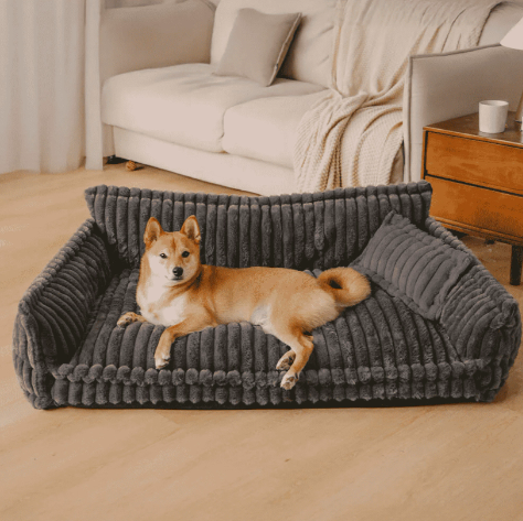 Dog resting on a dark gray luxurious pet sofa bed in a modern living room